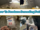 How To Produce Screeding Paint