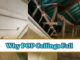 Why POP Ceilings Fall