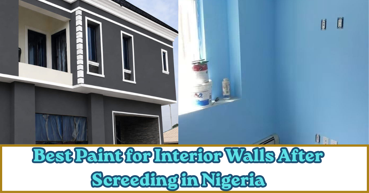 Best Paint for Interior Walls After Screeding in Nigeria
