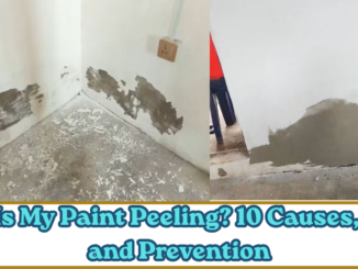 Why Is My Paint Peeling