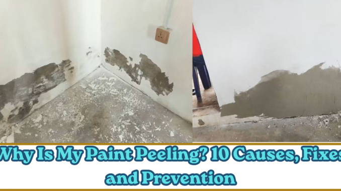 Why Is My Paint Peeling
